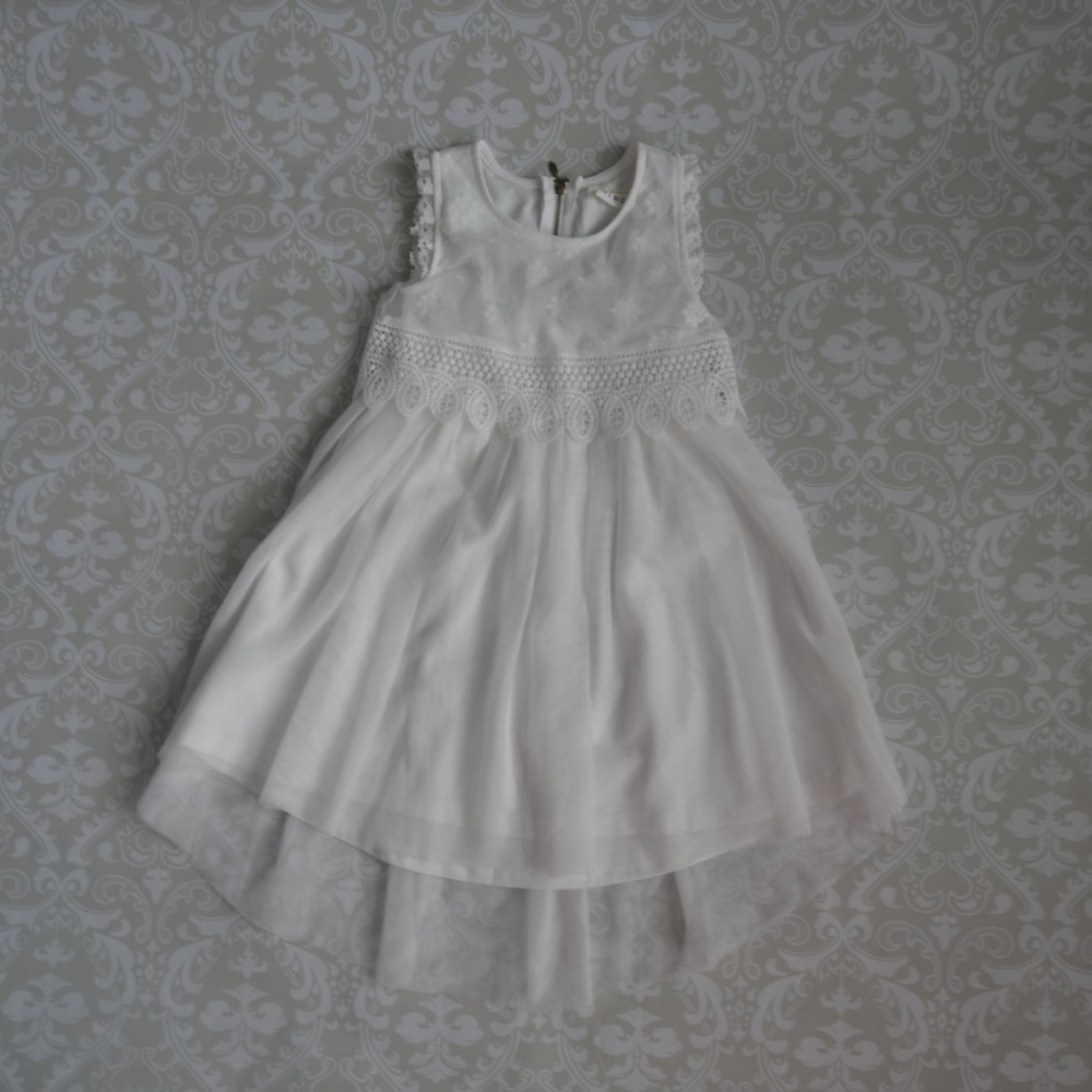 White Mesh Lace dress with tulle overlay